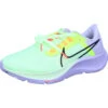 Nike NIKE AIR ZOOM PEGASUS 38 -Berühmter Schuhladen 346051414 1J9oyPuRBdlxky