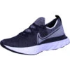 Nike NIKE REACT INFINITY RUN FLYKNIT MEN -Berühmter Schuhladen 346061757 1xV0OXChhVdQmh