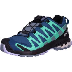 Salomon XA Pro 3D V8 GTX W