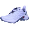Salomon Schuhe SUPERCROSS BLAST GTX W Arcti