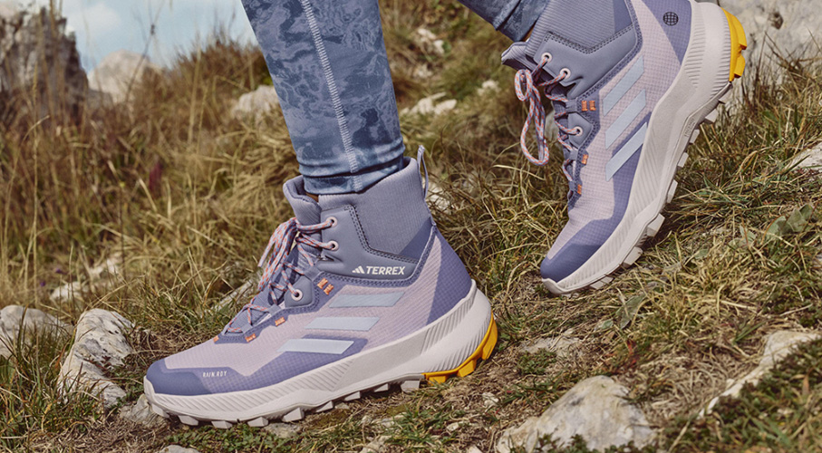 Berühmter Schuhladen 2 Berühmter Schuhladen -Berühmter Schuhladen fdgdfh